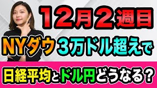 ドル離れとNYダウ3万ドルで、日経平均とドル円どうなる？【FXと株の初心者】12月雇用統計とビットコインや仮想通貨が好調