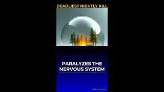 Tarantula vs Humans: 2s to Paralyze #Shorts