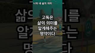 고독은 삶의 의미를 알게 해주는 명약이다 #철학 #데미안 #건강 #잠오는 #노화 #지혜 #장수 #오디오북 #잠잘오는 #잠