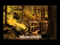 Miniature de la vidéo de la chanson Gracias A La Vida