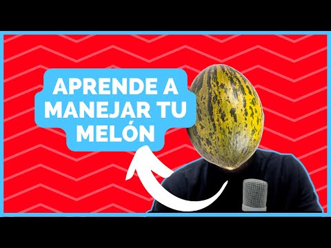 ▶ Alejandro Vera Casas · ejercicios para separarte de tus pensamientos.