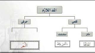 شرح المد اللازم الكلمي والحرف بطريقة سهلة ومراجعة على المد كله