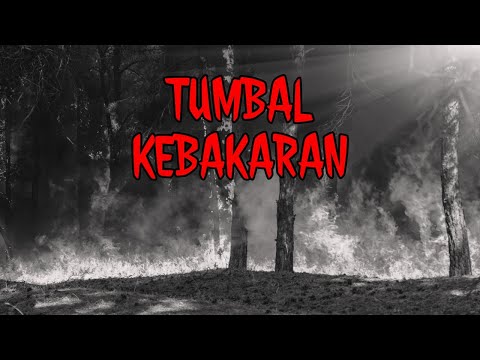 (372) PARA PENGHUNI