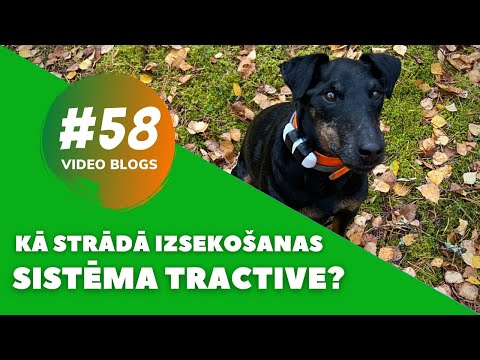 Video: Kas ir izsekošanas sistēma?