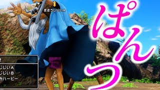 ドラクエ１１　まほうじじいのパンツ見る＋ダーハルーネの街行く前にさえずりのみつ取りに行ってみた　ドラゴンクエスト１１　検証　実況