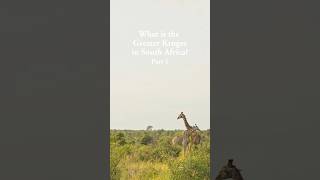 Part 1 | What is the Greater Kruger in South Africa?