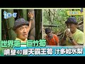 台灣第一等【湖本巨竹筍粗如水桶 峭壁深谷巨人世界】_173集精華版