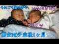 【生後14日～1ヶ月】男女双子生後1ヵ月！Mix twins one month after birth