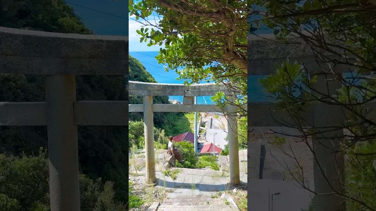 沖の島の夏がジブリの世界。 #高知 #田舎暮らし #夏休み