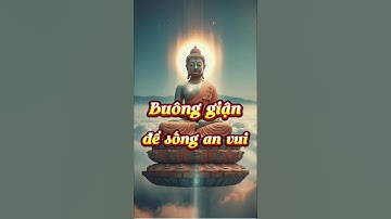 Lời Phật Dạy Về Tha Thứ | Nhẹ Lòng | An Vui Từ Buông Bỏ