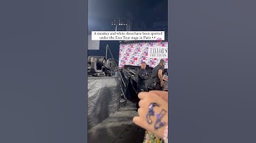 What does this mean?! #swifties #ttpd #viral #taylorswift #erastour #eastereggs #fypシ