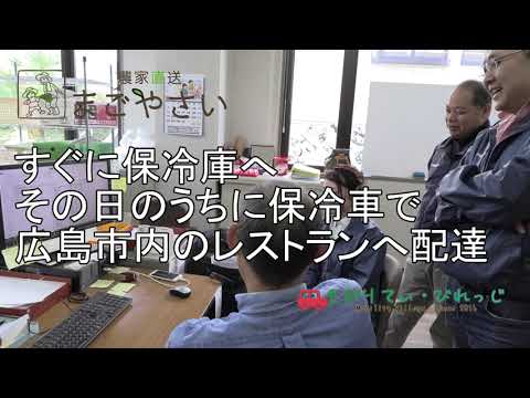「まごやさい」さんを見学
