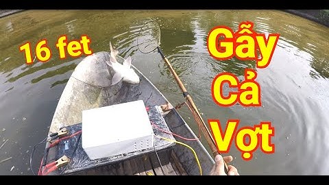 Đi bắt hộ cá ở ao lên ăn tết với máy kích cá 16fet rô phi cá lóc nổi cực đẹp- HOTLINE: 0985270335