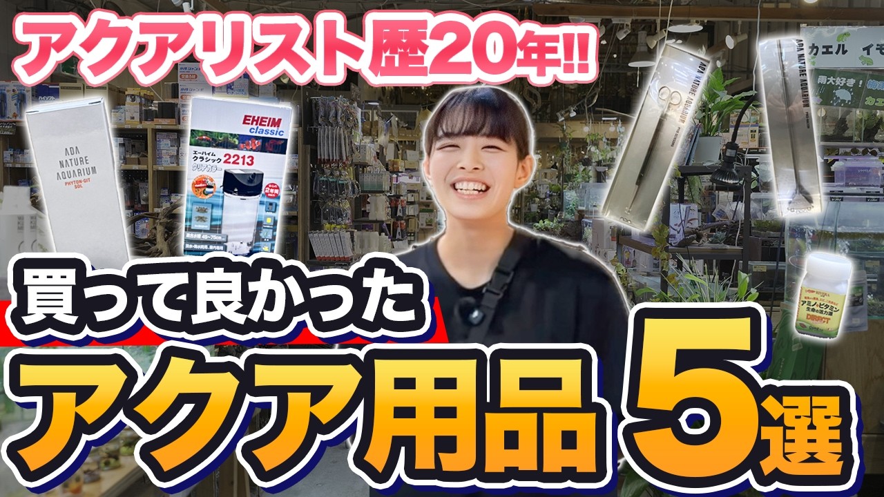 【必見】アクアリスト歴20年のスタッフがおすすめするアクア用品5選を紹介します!!【水槽】【水草】