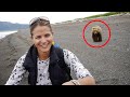 6 Begegnungen Mit Bären, Die Sie Nicht Sehen Wollen
