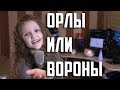 ОРЛЫ или ВОРОНЫ  |  Ксения Левчик (10 лет) |  Чувственно, до слез!!!  |  cover (Г. ЛЕПС & М. Фадеев)