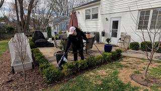 Spraying Boxwoods + The First and Cutest Flower Arrangement 🌼 // Dirt and Dish