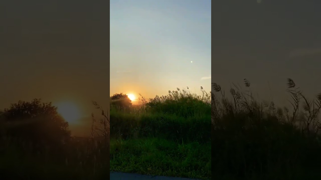Tonton Enjoy with sunset while running. #running #view #nature #sunset #shorts di YouTube Tonton Enjoy with sunset while running. #running #view #nature #sunset #shorts di YouTube