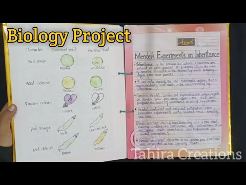 biology project work topics for class 10