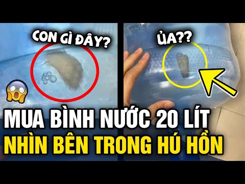Video Mua NƯỚC ĐÓNG BÌNH 20 lít về uống, cô gái 'HOẢNG HỒN'... - youtube