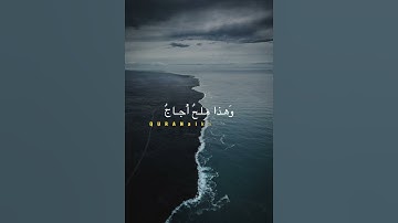 من أجمل تلاوات الشيخ محمد أيوب رحمة الله عليه #quran #explore #قرآن #اكسبلور #foryou #رمضان #يارب