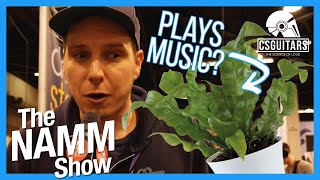 Plant That Plays Music? | NAMM 2020