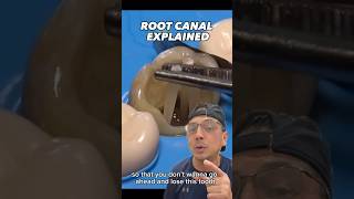 Saving a Tooth with a Root Canal and a Dental Crown | In Office to Hands On Dental Training #shorts