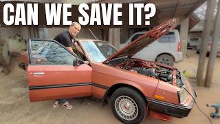 Why Won’t My CHEAP Skyline Start?