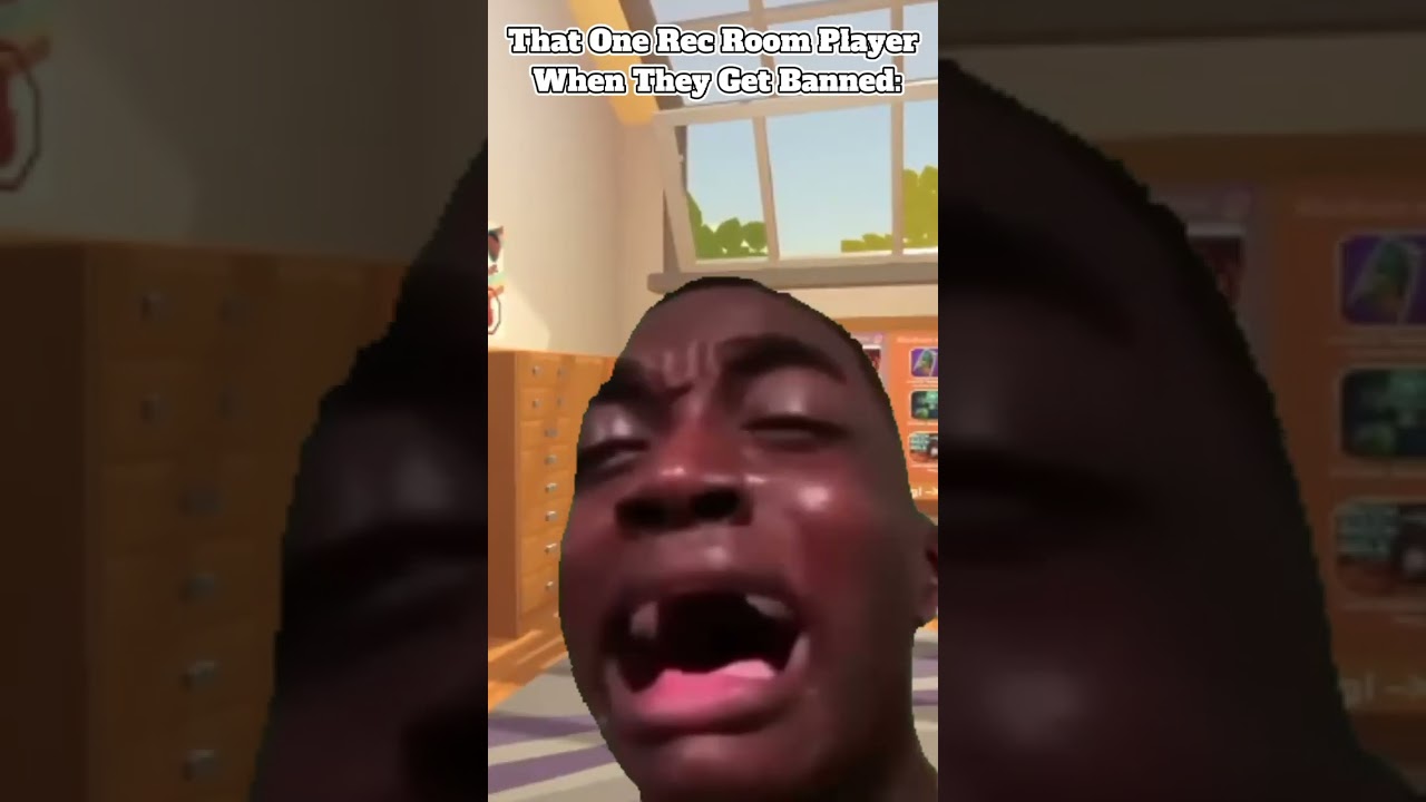 That One Rec Room Player When They Get Banned