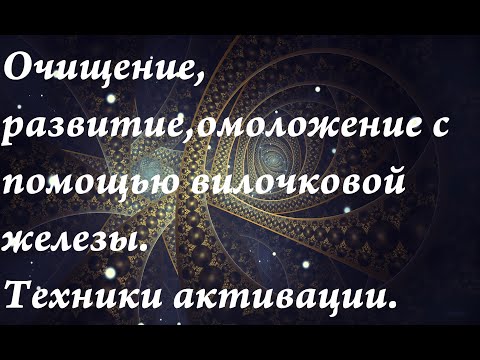 Очищение, развитие, омоложение с помощью вилочковой железы.