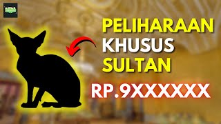 10 Hewan Peliharaan Termahal di Dunia
