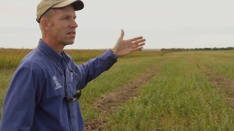 The Science of Soil Health: Dynamic Cropping Systems