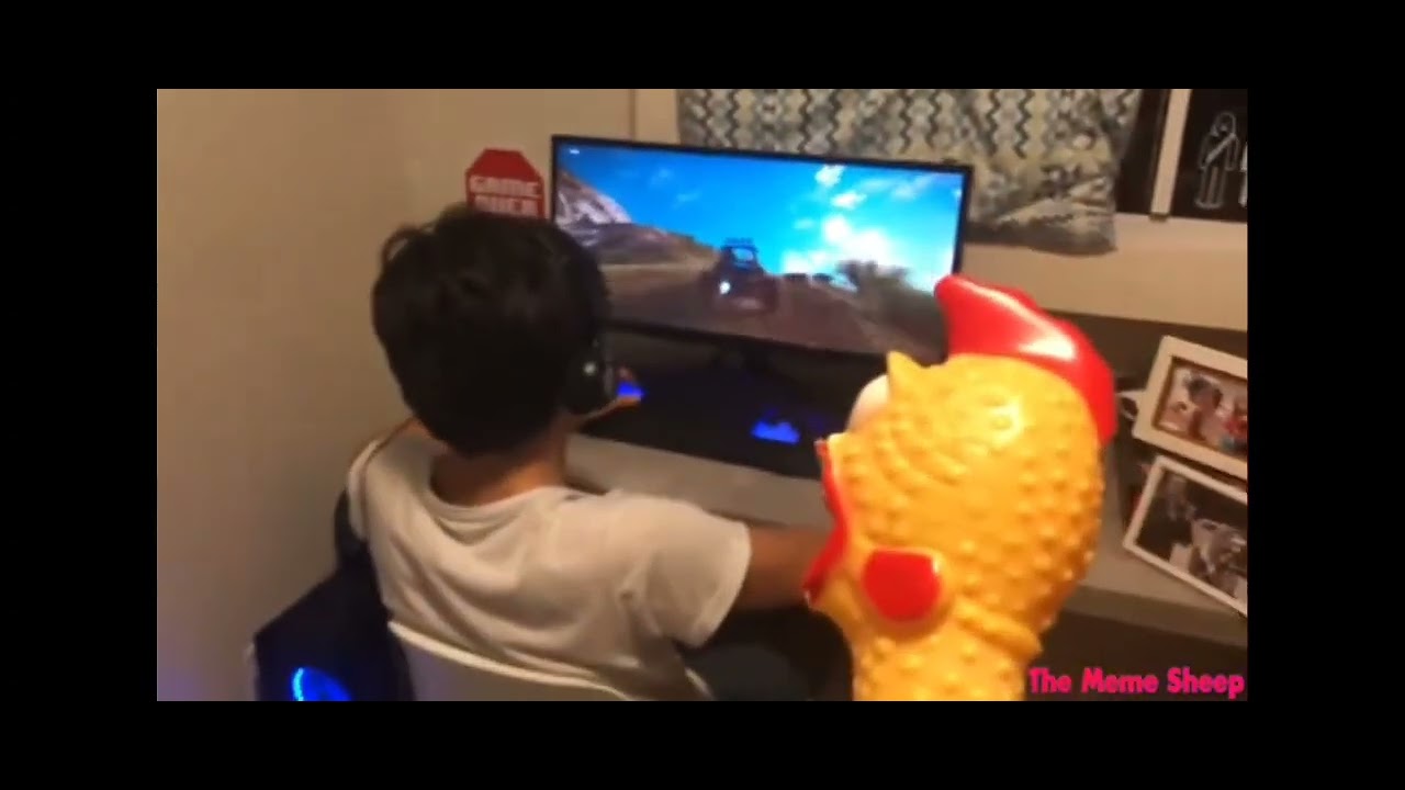 Chicken prank YouTube