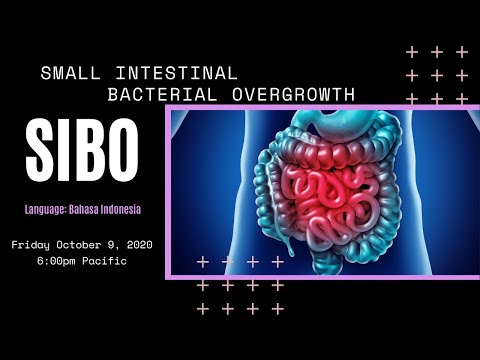 [INDONESIAN] Small Intestinal Bacterial Overgrowth (SIBO)