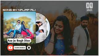 Asa Ja Bagh Diso - Song By Najaf Ali - Sindhi Full Song - Pk Asani