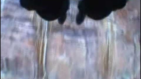 Base Jumping Compilation II