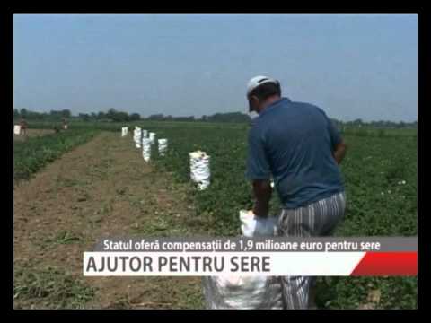 Video: Ca O Seră Pentru Oameni, Barnhouse Werkhoven Este Un Vis Al Grădinarului