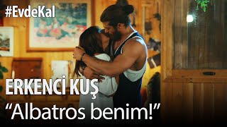 #EvdeKal Erkenci Kuş izle - "Albatros benim!"
