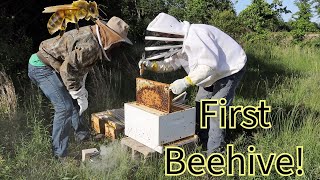 I Got Bees!!! Beekeeping beginner, learn with me as dive into the bee world!