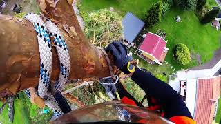 Details Pine rigging Update
