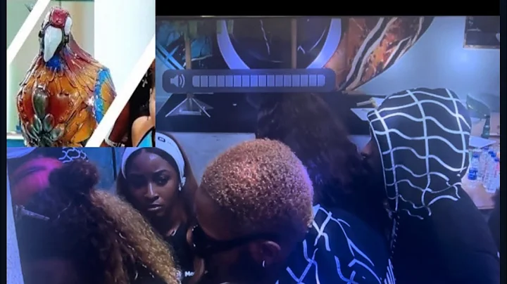 BBNAIJA ALL STARS: PARROT AT IT AGAIN// BIGGIES FORGOTTEN PARROT EXPOSE DOYIN.
