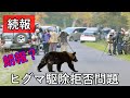 【続報!】北海道猟友会がヒグマ駆除要請の拒否検討問題に新たな動き!?