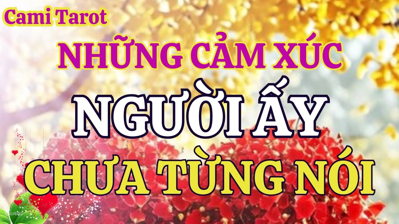 Những cảm xúc mà người ấy chưa từng nói với bạn @tarot