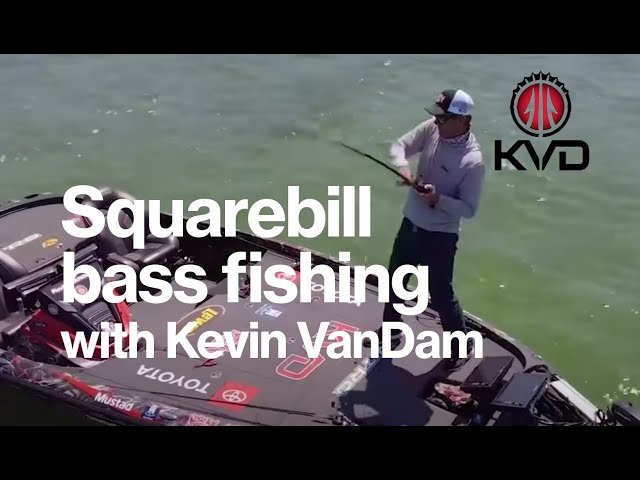KVD bass fishing highlights with the 1.5 Hard Knock on Michigan Lakes 