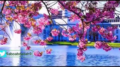 سورة الملك ( وهي المنجية من عذاب القبر كما أخبر النبي ﷺ )  للشيخ أ د عبيد العمري