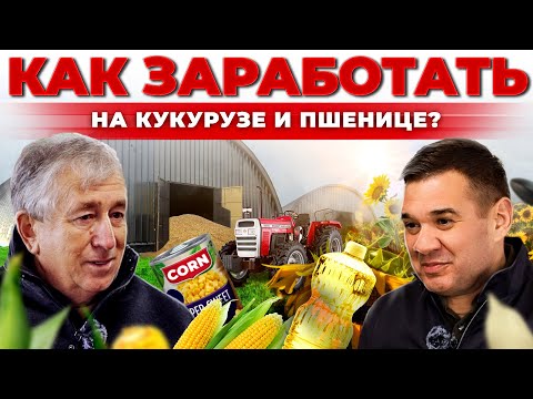 Миллионы на кукурузе | Агробизнес в КЧР | Какие культуры прибыльнее? Андрей Даниленко