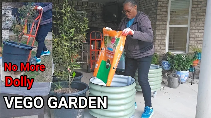 @vego_garden Self-Watering Citrus Rolling Planter 