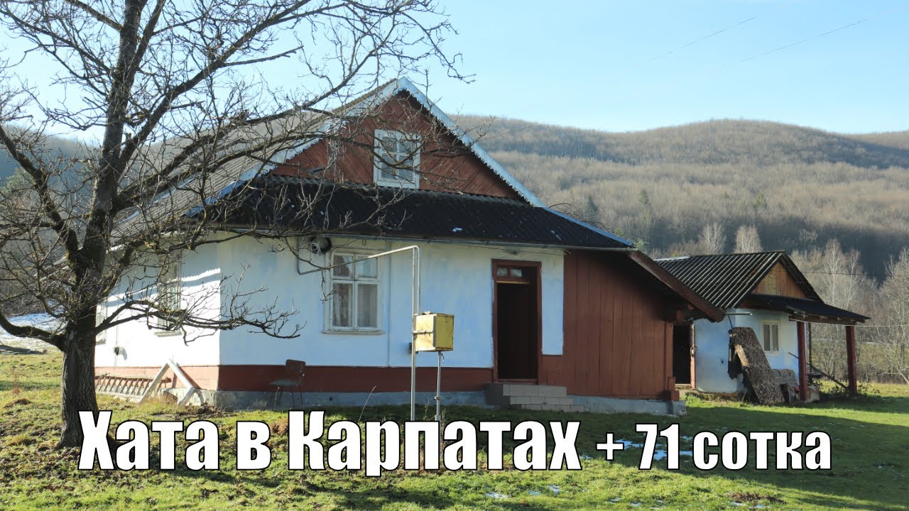 Хата в Карпатах, господарка в гірському селі