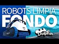 Como elegir el robot dolphin para tu piscina. Robots para piletas de fibra de vidrio o de hormigón