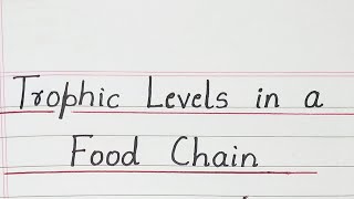 Trophic Levels in a Food Chain